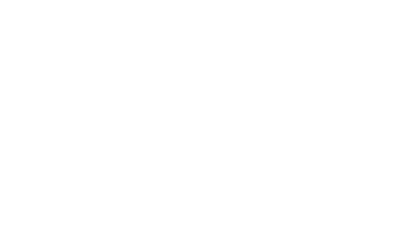 ilnewyorkese