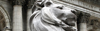 THE LIONS